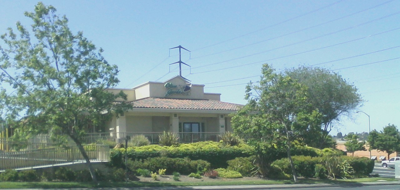 Eden Lawn Care Commercial Properties | Eden Lawn Care