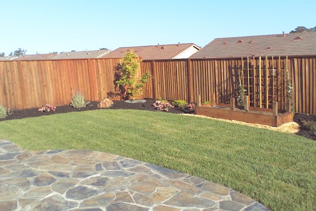 eden lawn care photo for portfolio